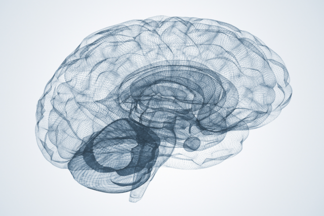 Día Mundial del Ictus Día Mundial del Ictus