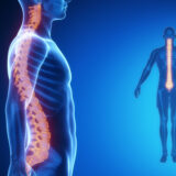 Masaje vertebral UTS