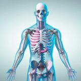 Mejorar circulación, aliviar rigidez