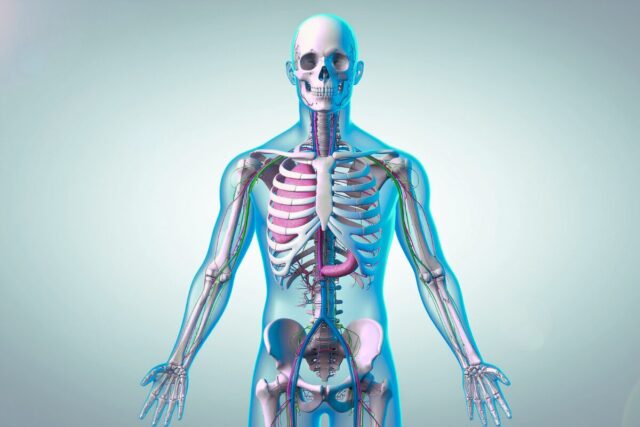 Mejorar la circulación y aliviar la rigidez articular